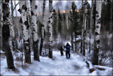 Snowshoeing in the Foothills