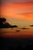 21 sunset3
