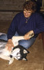 Petting Sitka 1993