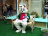 First Easter Bunny encounter