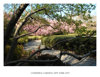 CATHEDRAL GARDENS FOR BOOK