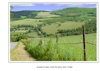 SCHULTZ HILL FOR bOOK