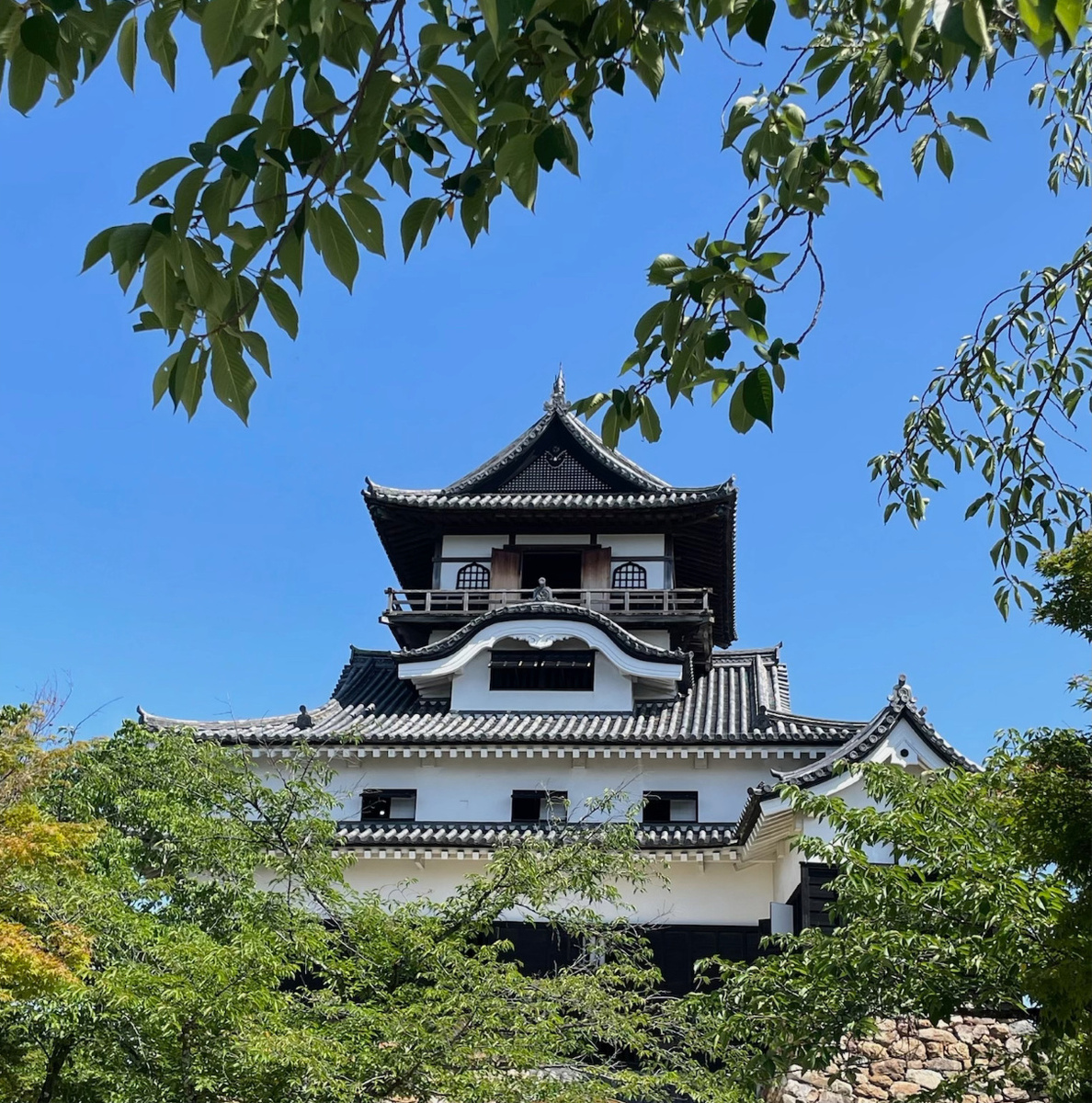 Japan & South Korea 2025