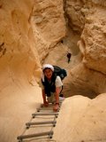 In the gorge of Nahal Vardit, the Negev, at the edge of the Arava  