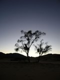 text western desert
