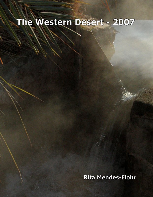 Returning to the Western Desert: Forms and Textures