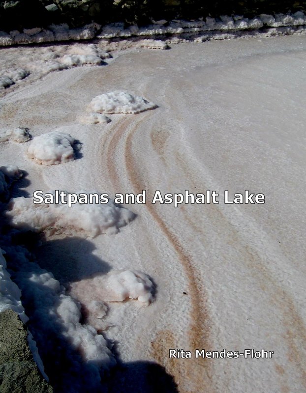 White and Black - saltpans and asphalt lake