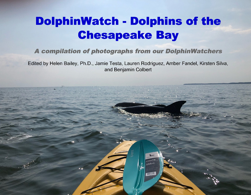 Chesapeake DolphinWatch 5th Anniversary