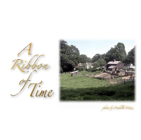 Michelle Mintz's Gallery