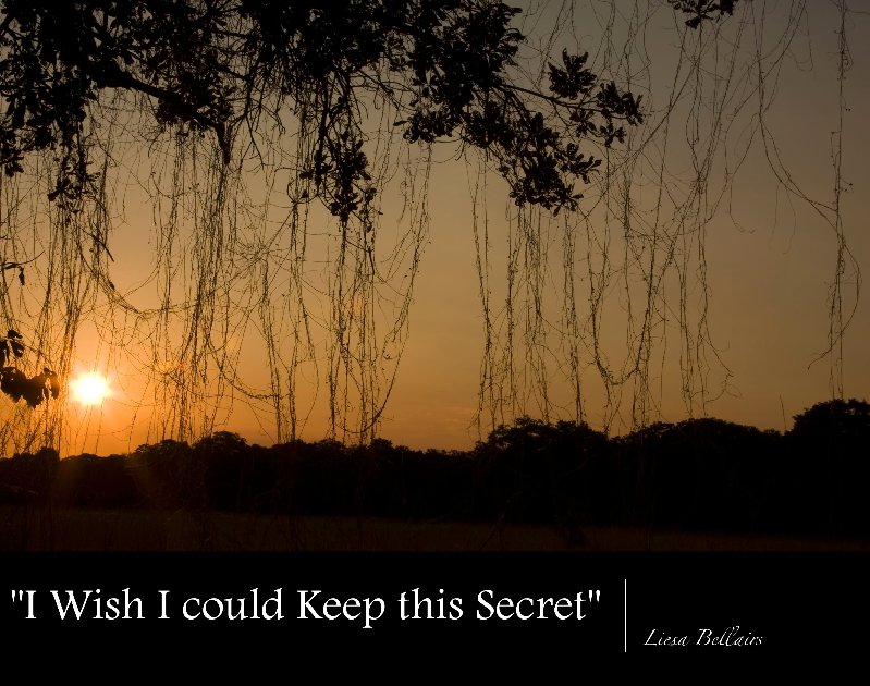 I wish I could keep this secret.