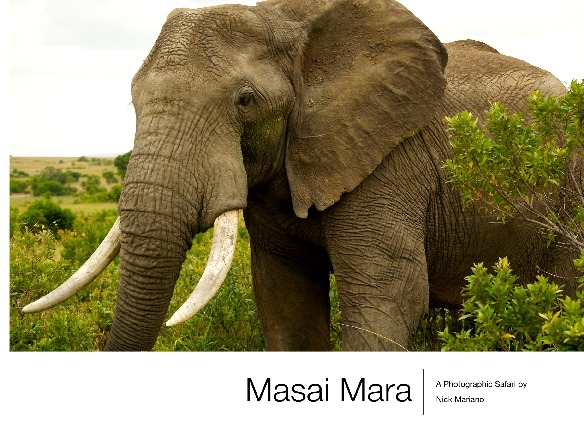 Masai Mara-A Photographic Safari