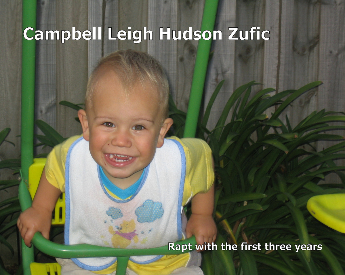 denis zufic's Gallery