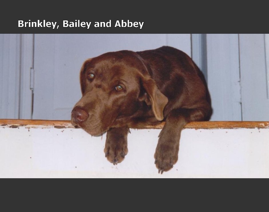 John peterson's Gallery