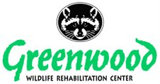 Logo Anonymous Logo