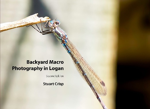Backyard Photography in Logan 2nd Ed