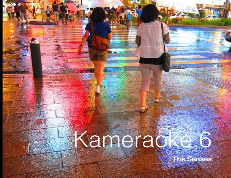 Kameraoke 6: The Senses