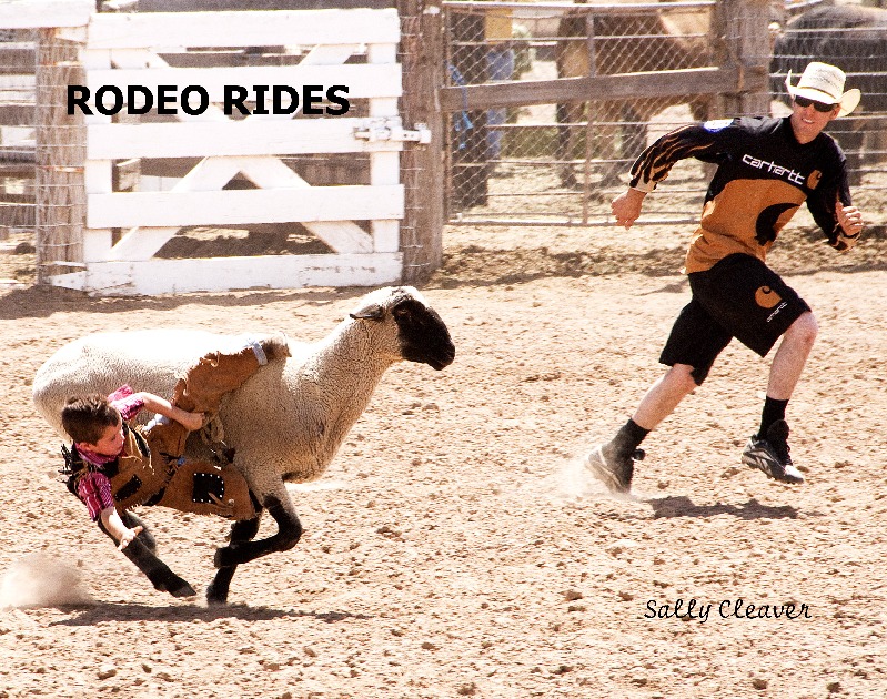 Rodeo Rides