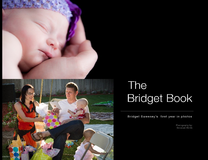 The Bridget Book