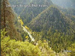 David Urban's Gallery