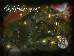 Dave Cross's Gallery