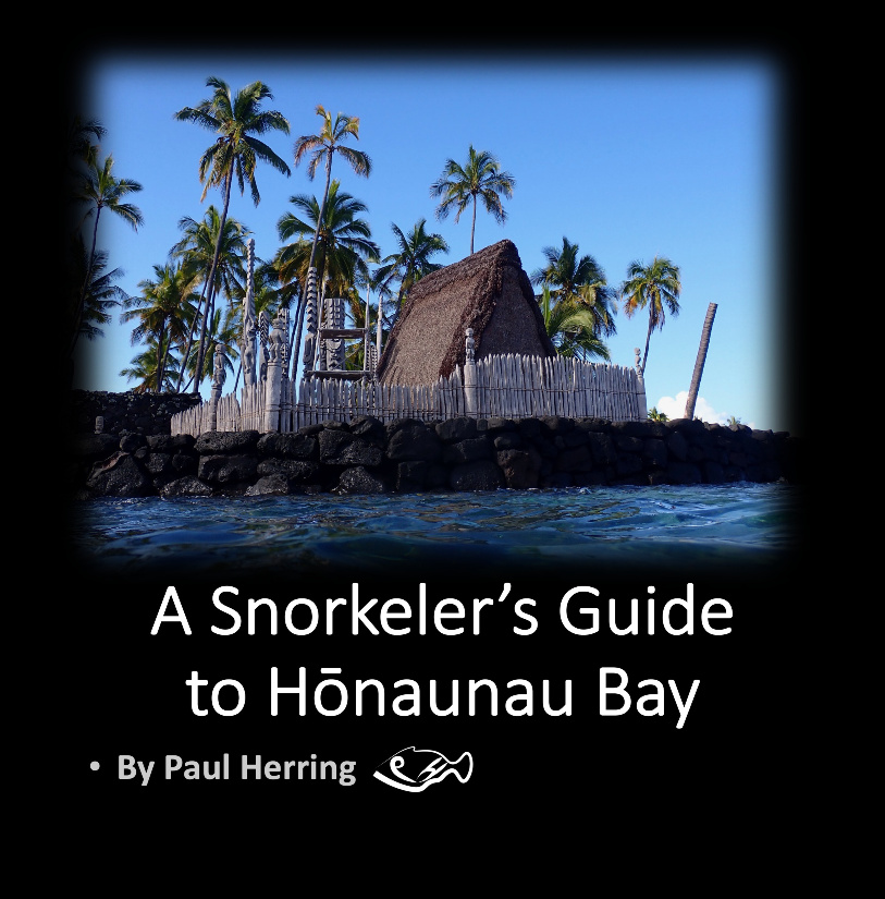 Honaunau Guide 8x8 v3