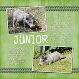 What a Pig! Junior 1992