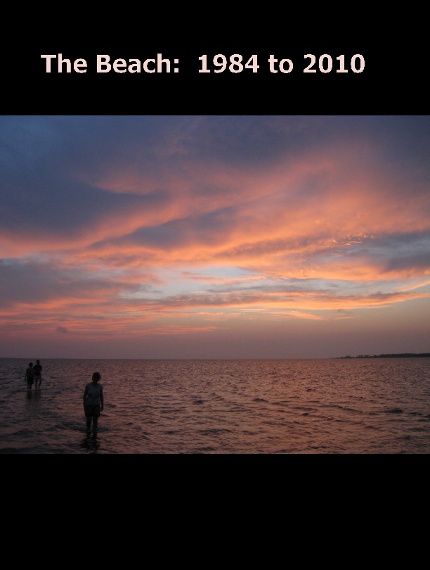 The Beach Book: 1984 - 2010