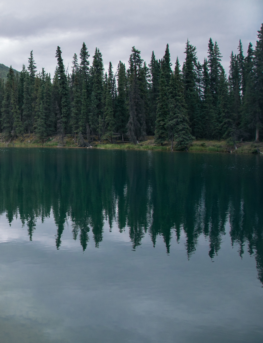 Alaska by Tessa Woods