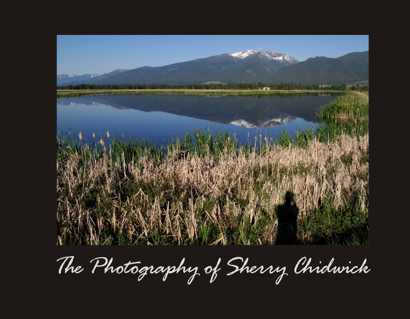 The Photography of Sherry Chidwick