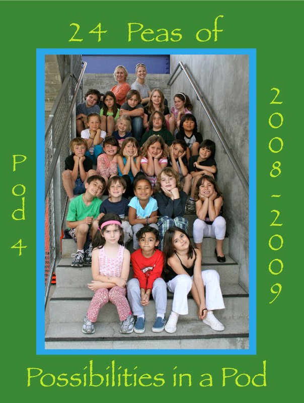 Pod 4 Year Book 2008-2009