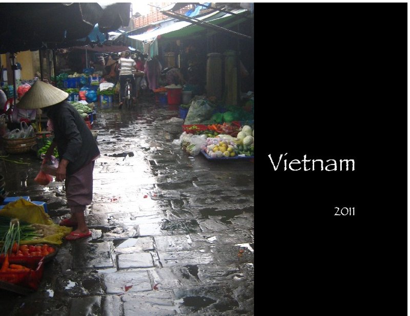 Vietnam 2011