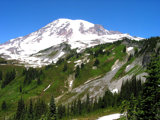 Majestic Mount Ranier