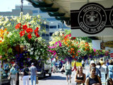 Starbucks - Where It All Began
