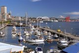 Seattle's Splendid Port