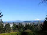 High Above Portland at Washington Park
