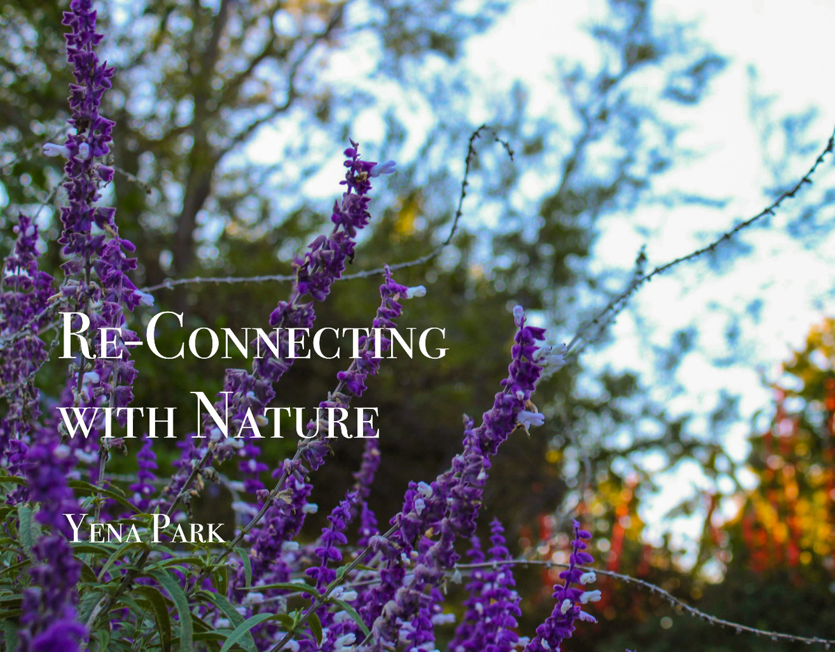 Re-Connecting with Nature