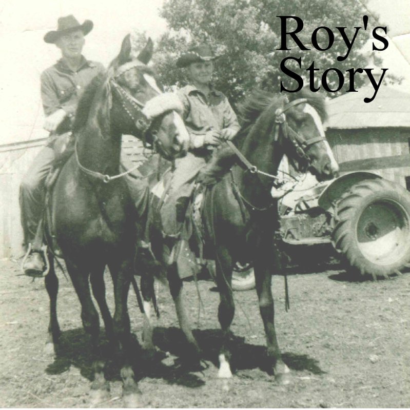 Roy's Story by Cindy (Gravett) Sayers