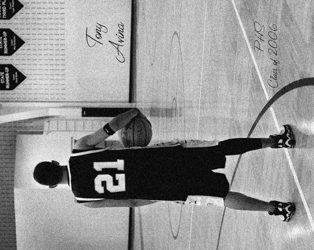 Gloria Avina's Gallery