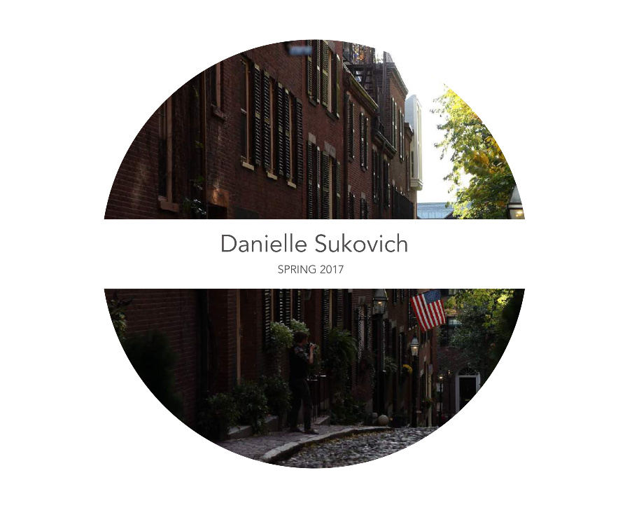 Danielle Sukovich Portfolio Spring 2017