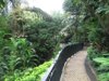 Hong Kong Park