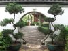 Kowloon Walled City Park