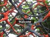 Hakone