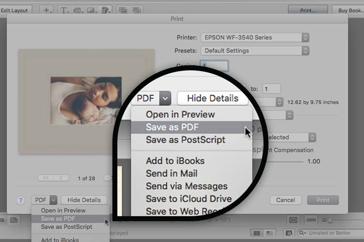 Choose Save as PDF from the drop down menu at the bottom left