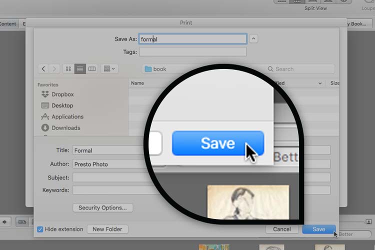 Name your file and click Save