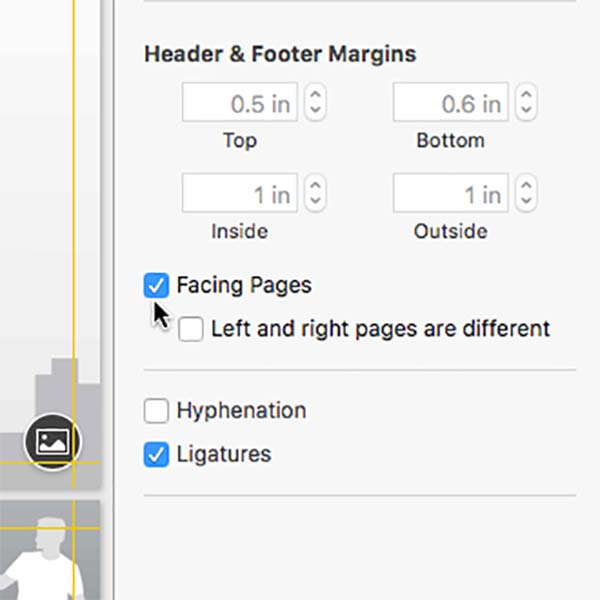 Turn on Spread View