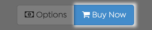 Screenshot of Buy Now