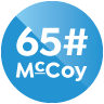 Premium 150: 146 GSM Icon