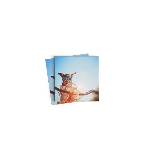 6x6 Photo Print