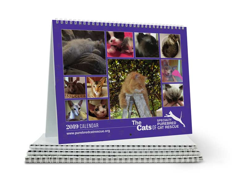 Specialty Purebred Cat Rescue 2018 Calendar