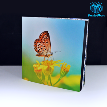 12x12 Photo Book Softcover